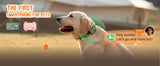 PetPhone – First Smartphone Designed For Pet