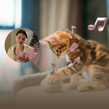 PetPhone – First Smartphone Designed For Pet