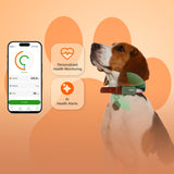 PetPhone – First Smartphone Designed For Pet