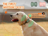 PetPhone – First Smartphone Designed For Pet