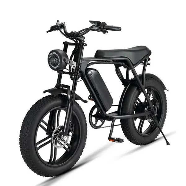 FXH-V8 20*4.0 Inch Fat Tire 750W/1000W Off Road Inflatable Bicycle With Removable 48V 15AH Lithium-Ion Battery Full Suspension Electric Bike